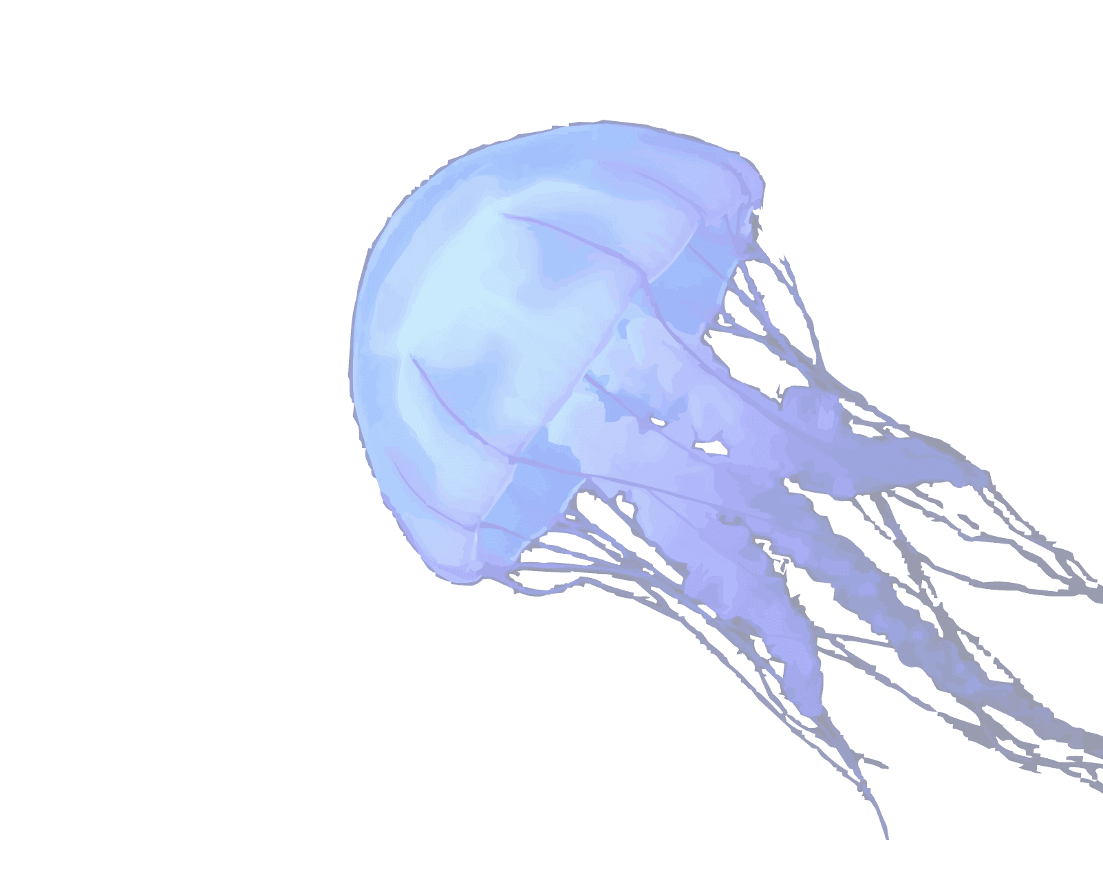 Головне зображення Інженерного ярмарку кар'єри